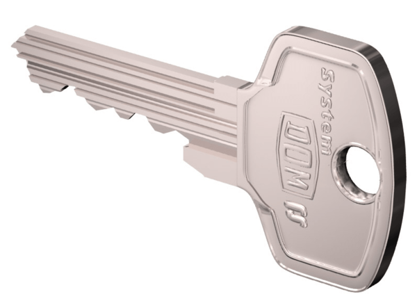 lood steno Oppervlakkig DOM RS5 sleutel in nabestelling - Blokshop